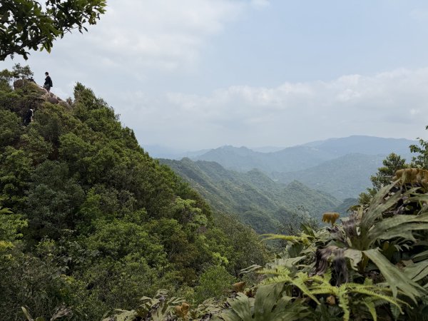 [微笑山線_第八段] 2026_0411 二格山系_筆架山南峰3035186
