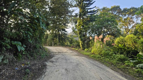 20251123大湖坑步道-詹公厝2942920