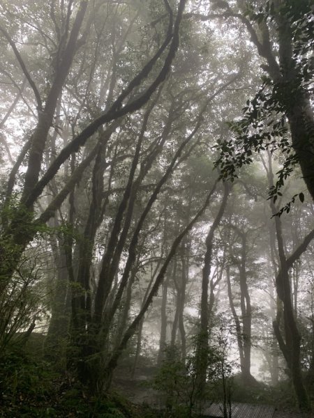 檜山巨木群步道2324153