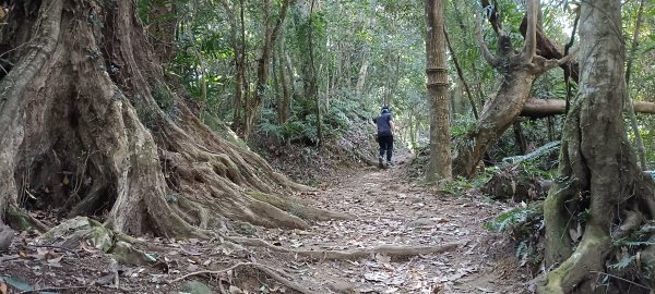 20220312_馬那邦山 細道邦山南峰 細道邦山1637053