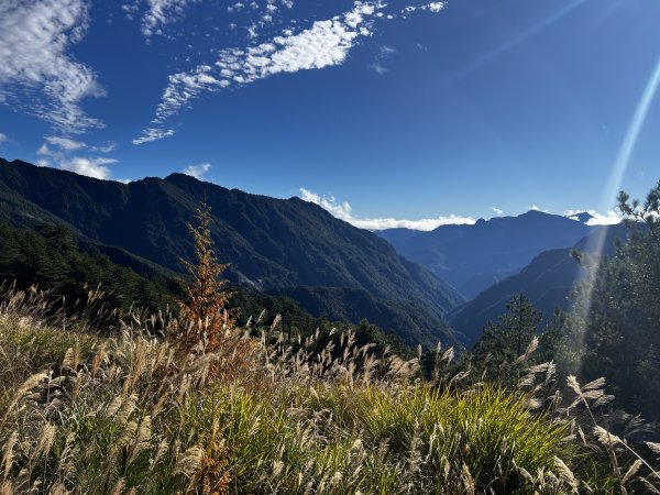 卯木山 合歡越嶺古道單人野營1940315