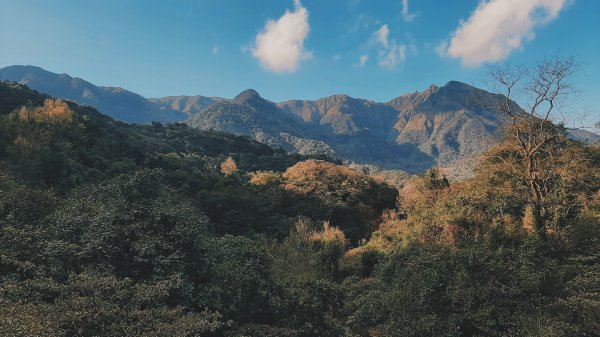 陽明山神秘綠境 • 鹿角坑保護區2038721