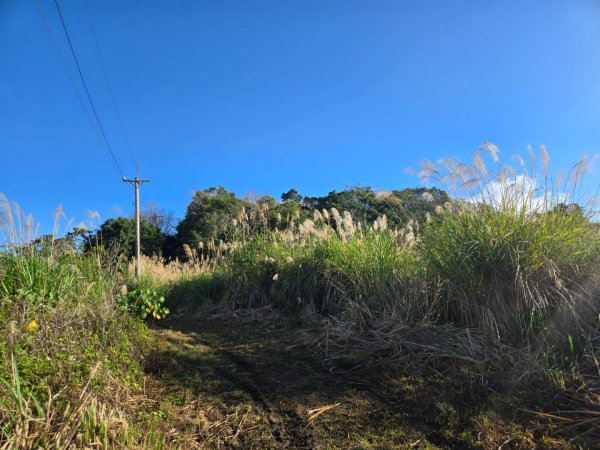 月眉山（小百岳）3000552