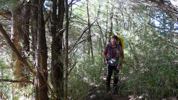 大好天氣的奇萊東稜489040