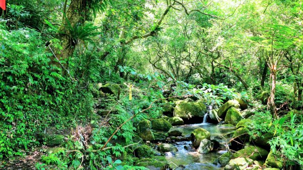 雙溪下坑古道2859471