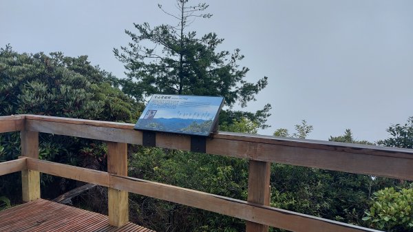 觀霧榛山步道三角點1447413