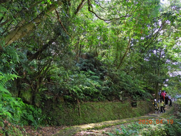 臺北 內湖 龍船岩、開眼山924795