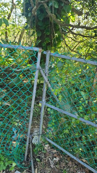 2025-0130溪和宮-大崎頭步道-鵝尾山-平溪步道-鵝尾山水田-42巷-溪山百年古圳-平菁步道2701921