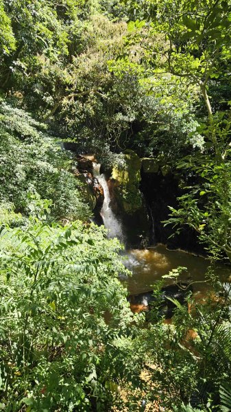 20250917七星山北北峰上北峰-主峰-南峰-摘星峰+紗帽山南峰2889399