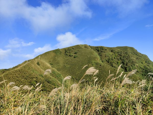 2023.11.23 桃源谷內寮線登灣坑頭山2503644