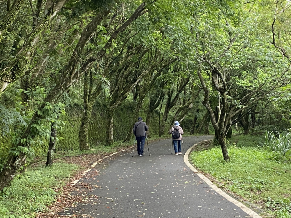 《走進竹子湖的清晨｜慢跑+美食＋泡湯享悠閒》
