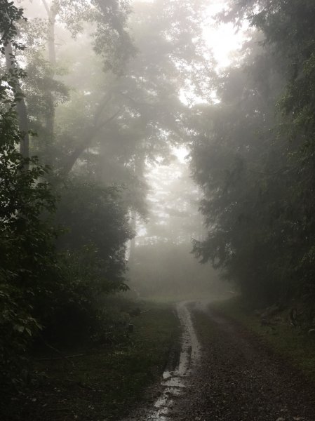 雨神登大霸429065