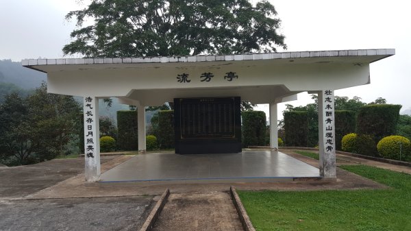 勿洞馬共友誼村地道、文物館、萬花園2487530