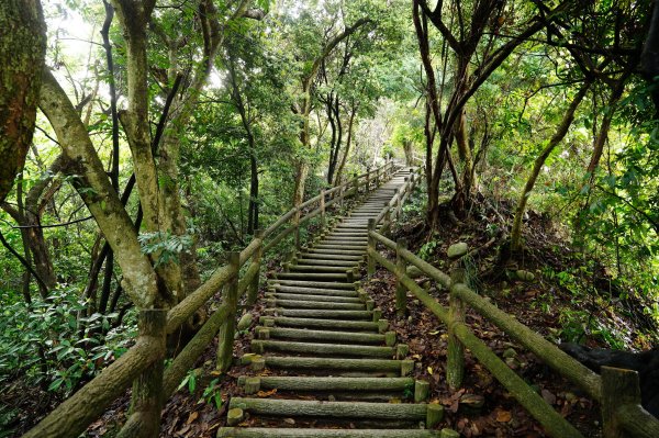 臺中 新社 頭嵙山、黑山、石苓湖山3047643