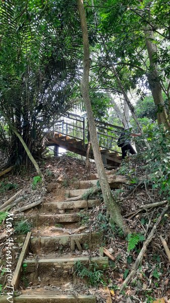 《嘉義》山光水色｜蘭潭後山步道O繞202309182288171