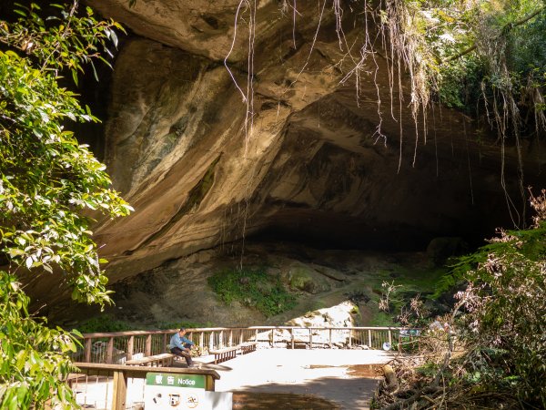 三民蝙輻洞2802488