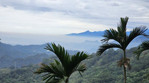 暗影山三進三出2366564