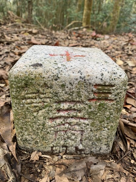 20250129高雄塔羅留山-塔羅留山南峰-他果晏山2705269