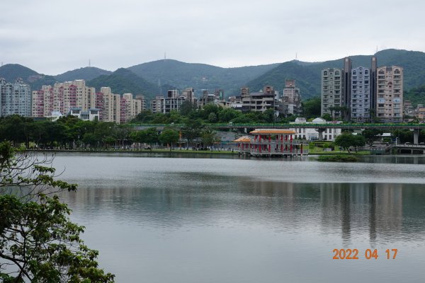 臺北 內湖 白鷺鷥山1680512
