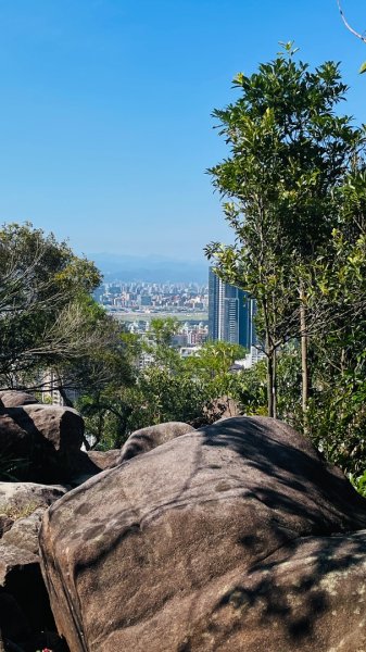 金面山親山步道2867831