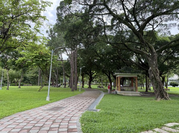 [2026臺北健走趣-06/50] 2026_0712_青年公園3098526