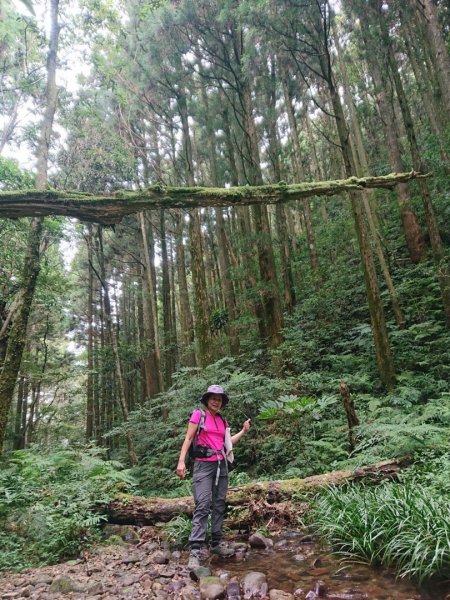 貴妃山、那結山O走1478310