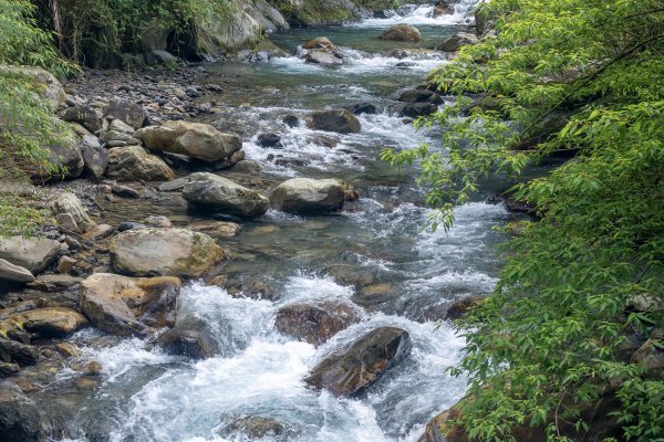 九寮溪步道與梅花湖2927076