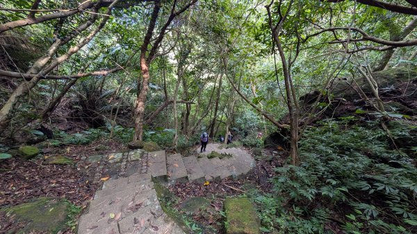 114.11.15平溪小黃山段-望古瀑布段之旅2937795