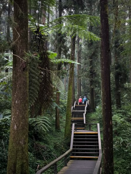 2025-09-14 奮起湖2887443