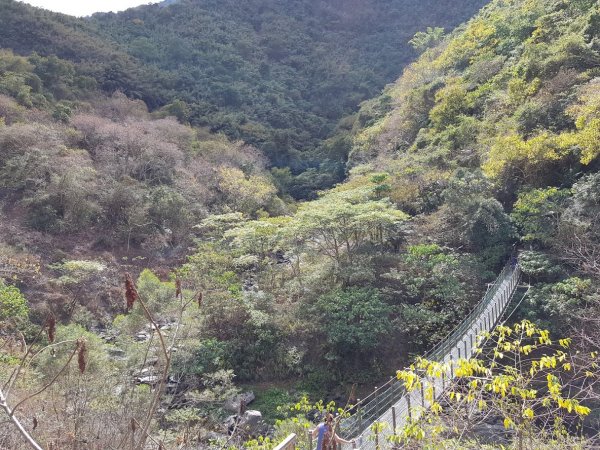 羅木斯步道1018538