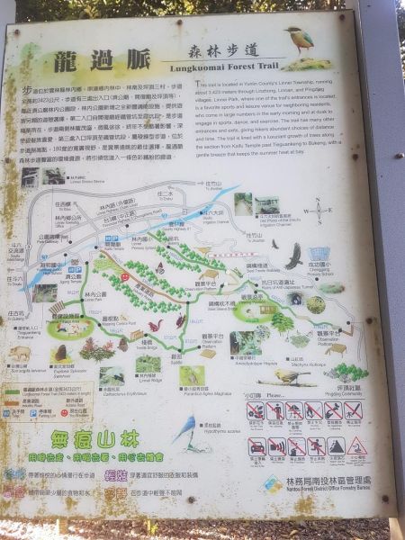 林內龍過脈森林步道182821