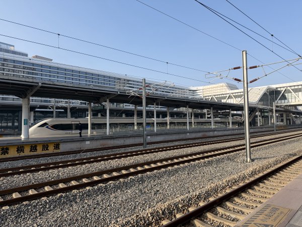 [茂名馬之行-10] 2026_0119 深圳北站2996561