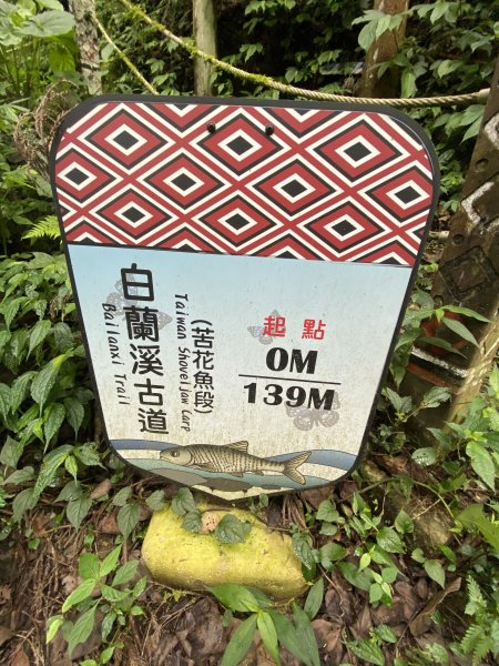 20250705-Ep.02白蘭溪古道-2025森遊竹縣皮皮獅探險隊2851395