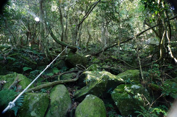 新竹 五峰 鳥嘴山、大窩山2956875