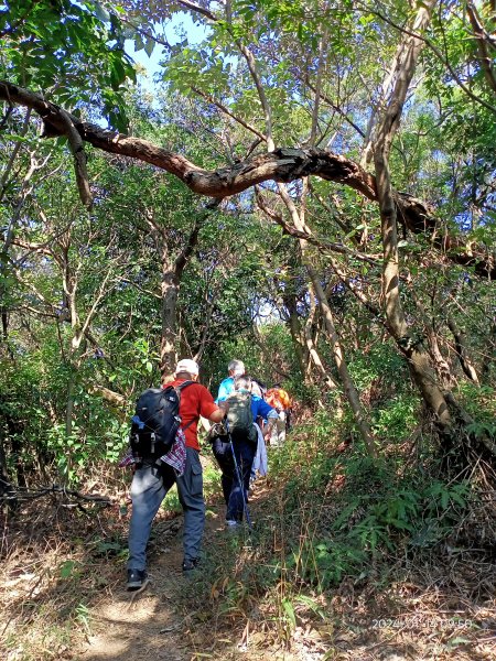 格物台→文間山→國姓山→鄭成功廟步道→金面山步道→論劍山→剪刀石山→採石場支線→金面山岩壁中繼岩台2403859