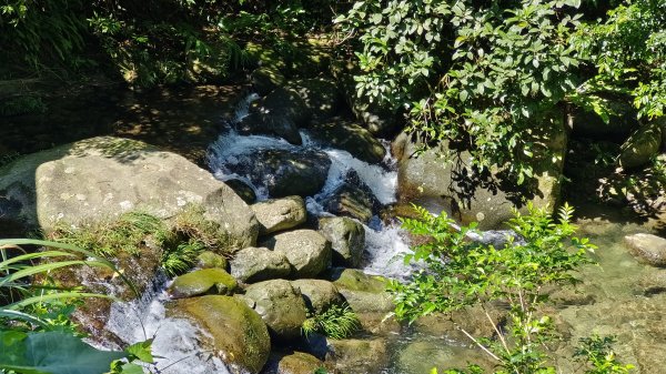 (姨婆趴趴走)第二十一集:桃園復興高遶溪古圳步道、新柑坪山、牛背岩環狀縱走2252290