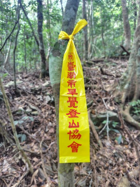 多納六秀 京大山2957601