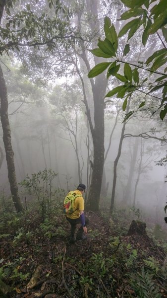 113.06.01魯壁山-東穗山之旅2529896