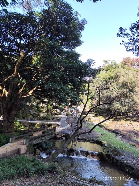 【臺北大縱走 2】【第二回合全程完成證書】鞍部→大屯山步道→大屯山主峰→大屯坪步道→二子坪步道2960421