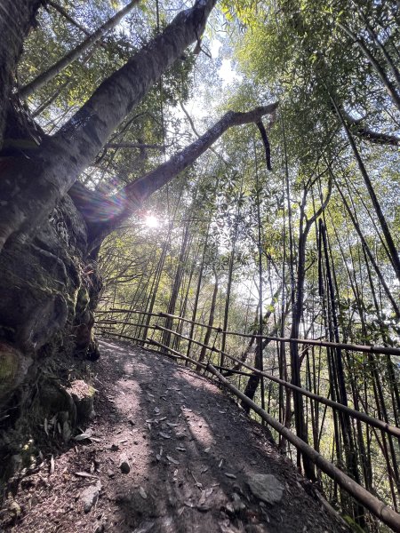 ~ 上帝的部落 - 司馬庫斯 ~3023508