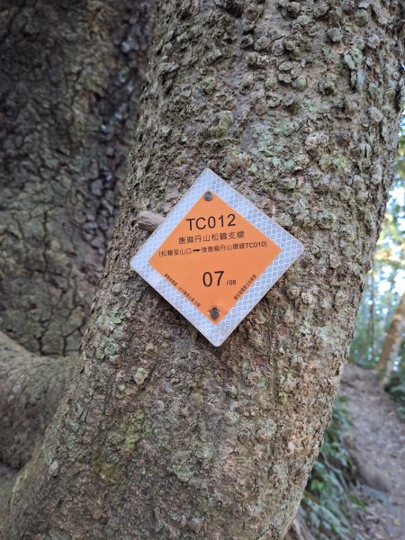 谷關蝴蝶谷瀑布202511202940783