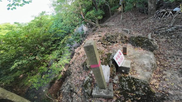 高雄 小崗山2927242