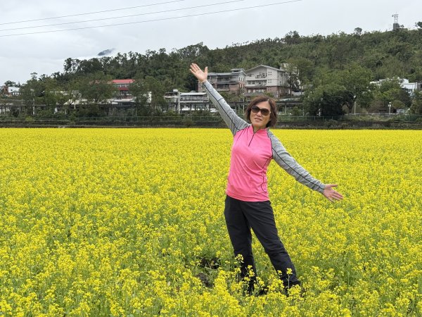 富里油菜花2704814