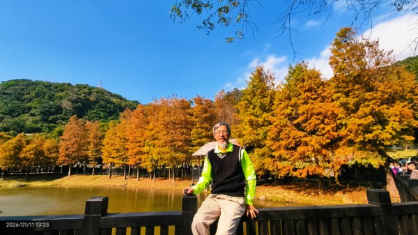 #花卉試驗中心 #永公路500巷 #平菁街42巷 #原住民公園 #士林官邸 1/42980348