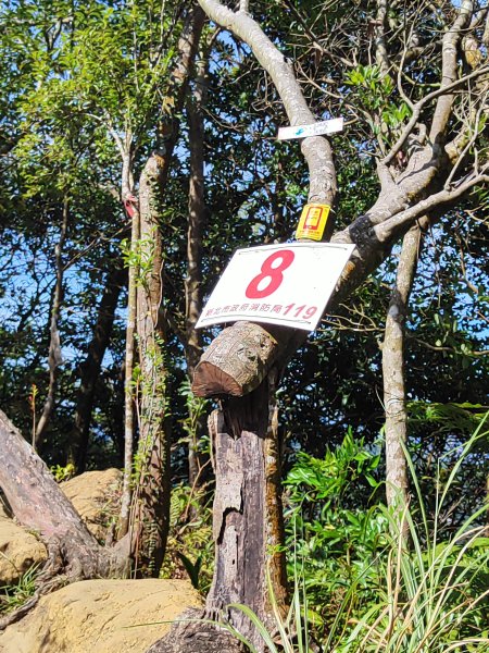 微笑山線：【二格山系】筆架連峰段2920961