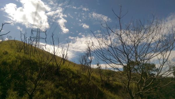 竹坑南寮登山步道283820