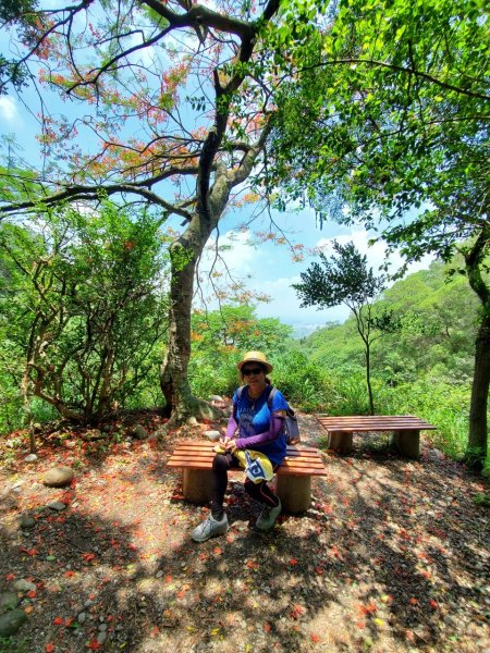 【彰化 | 橫山】975446