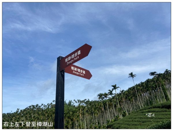 樟湖山 右上左下 (雲林、古坑)2846304