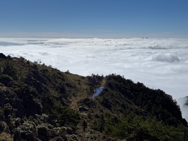 20250104-05 向陽縱走魔保來溪頭山出關山嶺山2683509