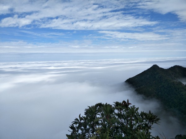 2018 01 20 仙山登山步道252816